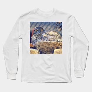 Tawny Frogmouth Long Sleeve T-Shirt